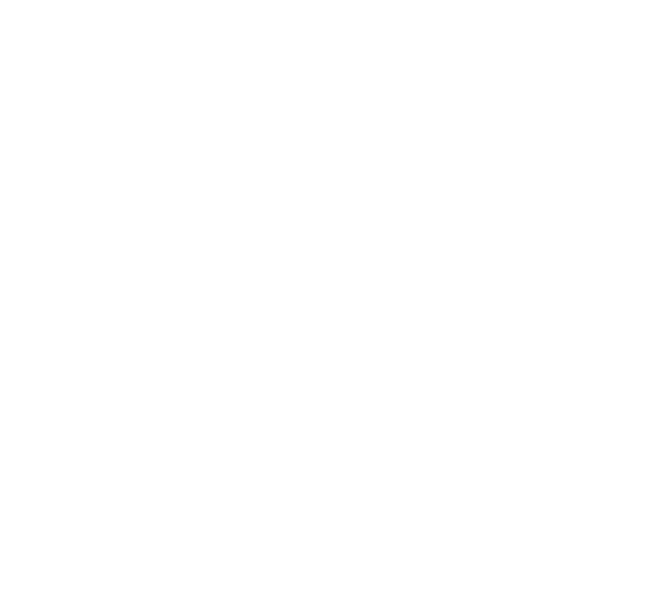 Vistazo logo